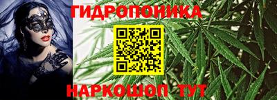 эйфоретик Гусь-Хрустальный
